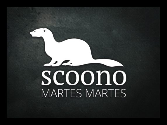 Scoono Martes Martes